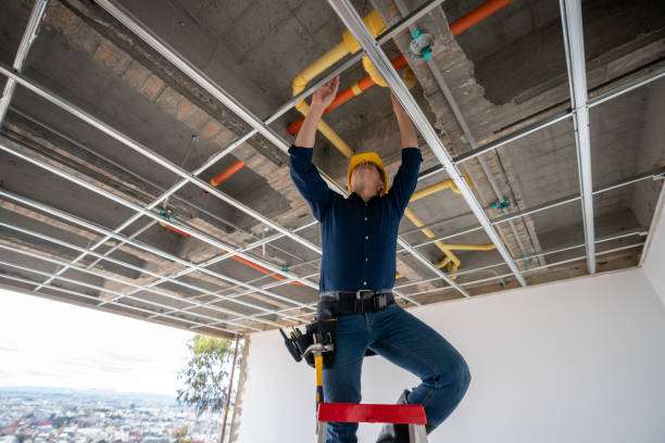Best Residential Plumbing Services  in Littleton, CO